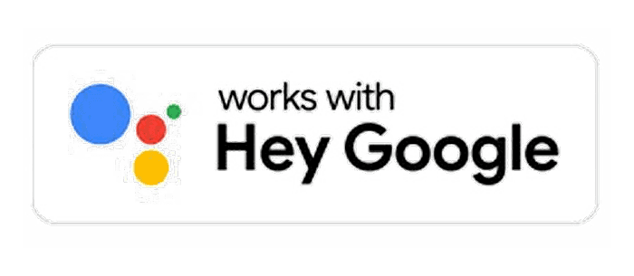works with google voice