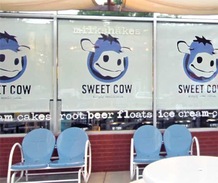 Custom Printed Logo Roller Shades