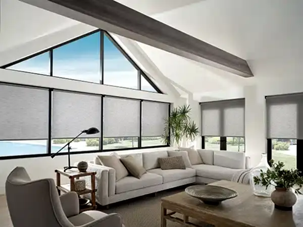 Smart window shades